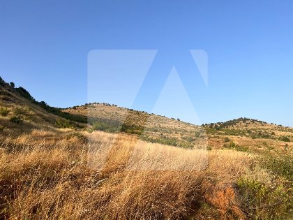 	Αγροτεμάχιο προς Πώληση - Καστοριάς