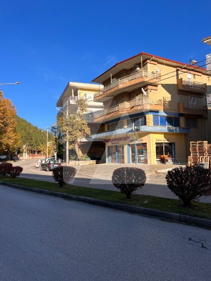 Επαγγελματικό κτήριο προς Πώληση - Kαστοριάς