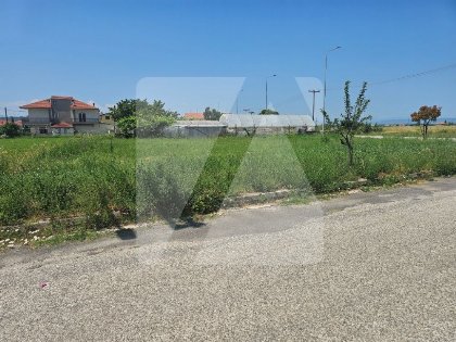 Οικόπεδο προς Πώληση - Άργους Ορεστικού